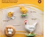 Life Cycle of a Chicken