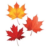 Fall Leaves Cut-Outs, Grades PreK-5