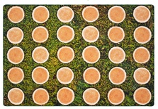 Tree Rounds Seating Rug without Alphabet,Rectangle