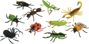 5" Insects, Set of 10