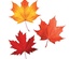 Fall Leaves Cut-Outs, Grades PreK-5