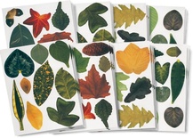 Paper Leaves