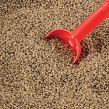 Kidfetti, Sand-Colored